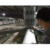 工業(yè)大吊扇，工業(yè)大風(fēng)扇，大風(fēng)扇